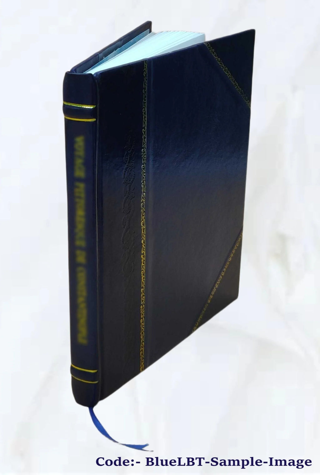 Mémoire du Collège de L'Assomption E817871