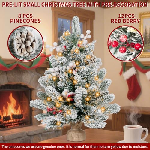 2FT Pre-lit Mini Christmas Snow Flocked Tree with LED Lights S498990