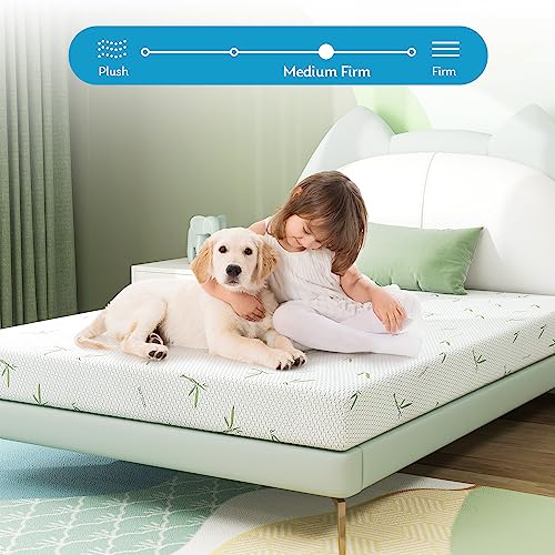 6 inch Medium Firm Full Mattress with Bamboo Cover Q6612
