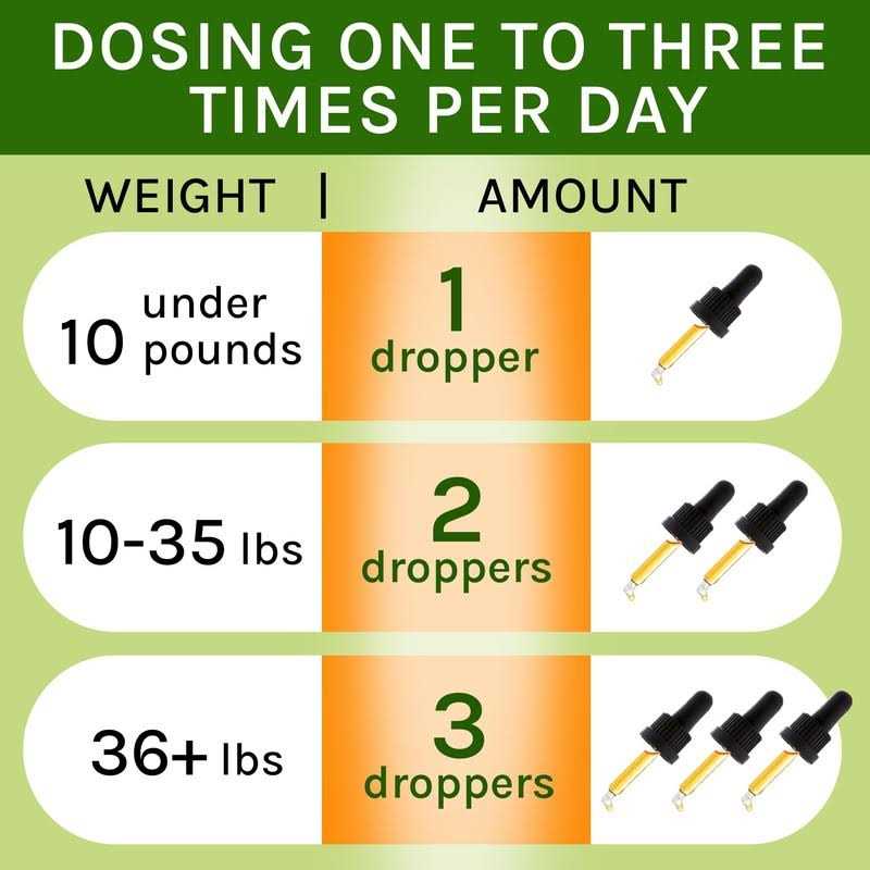 Kennel Cough Herbal Drops for Dogs & Cats C741