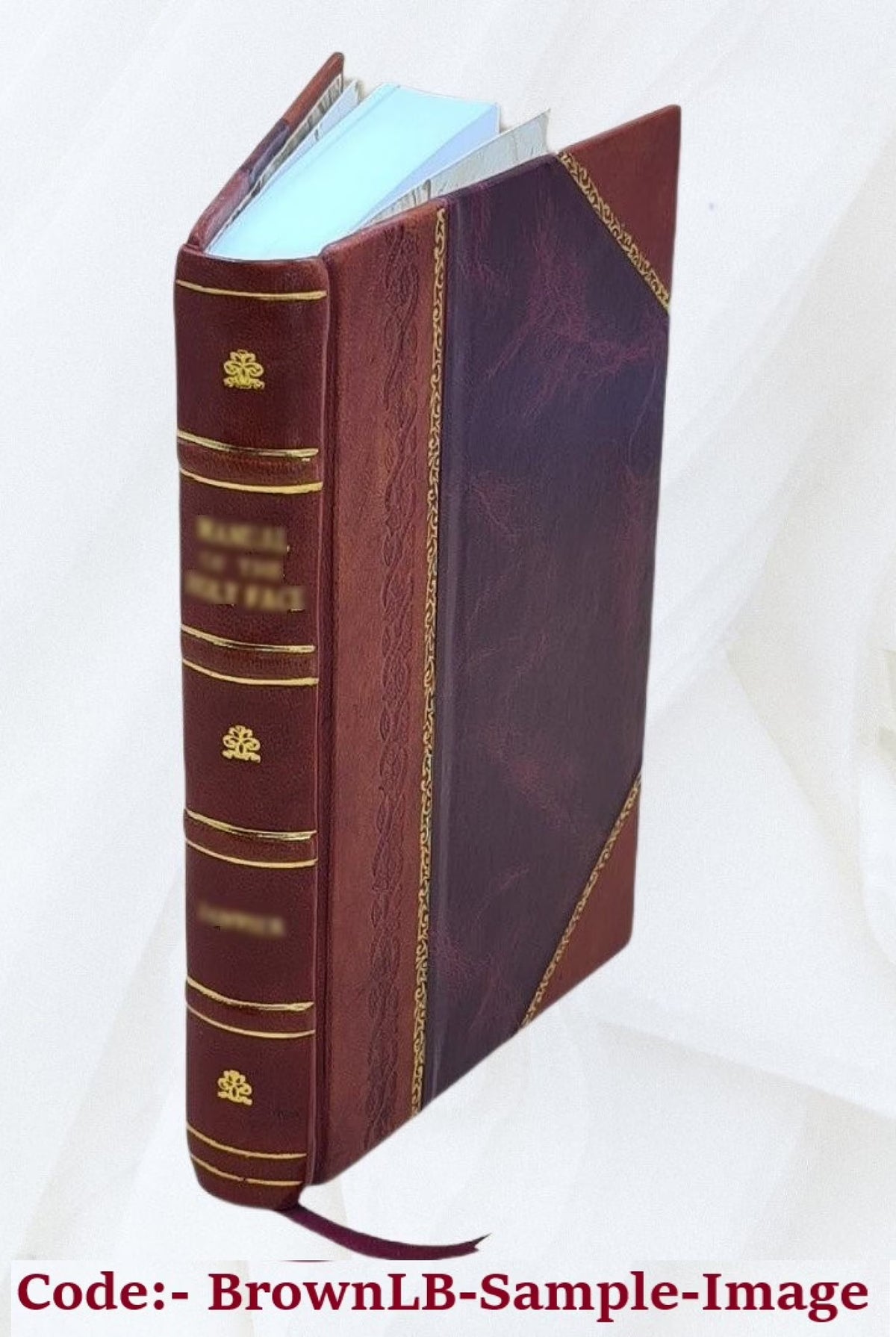 Bradentown Florida City Directory L1137