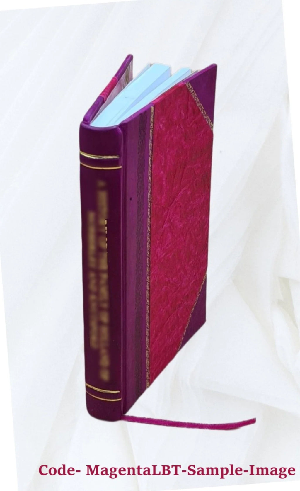 Mémoire du Collège de L'Assomption E817871