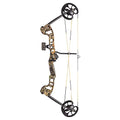 Youth Compound Bow L2004