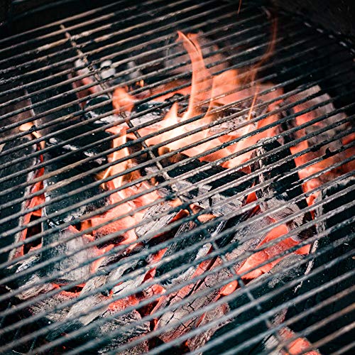 20 Pound Hardwood Lump Charcoal Q678