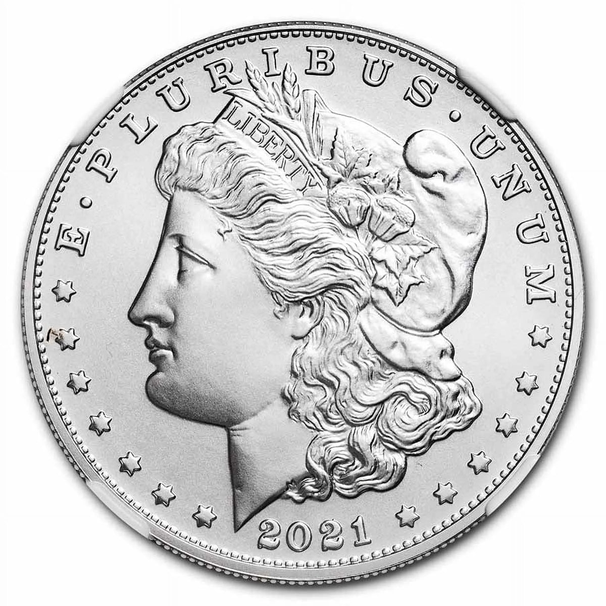 Silver Morgan Dollar MS-70 NGC S1900