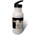 21 oz Sports Water Bottle Q70857
