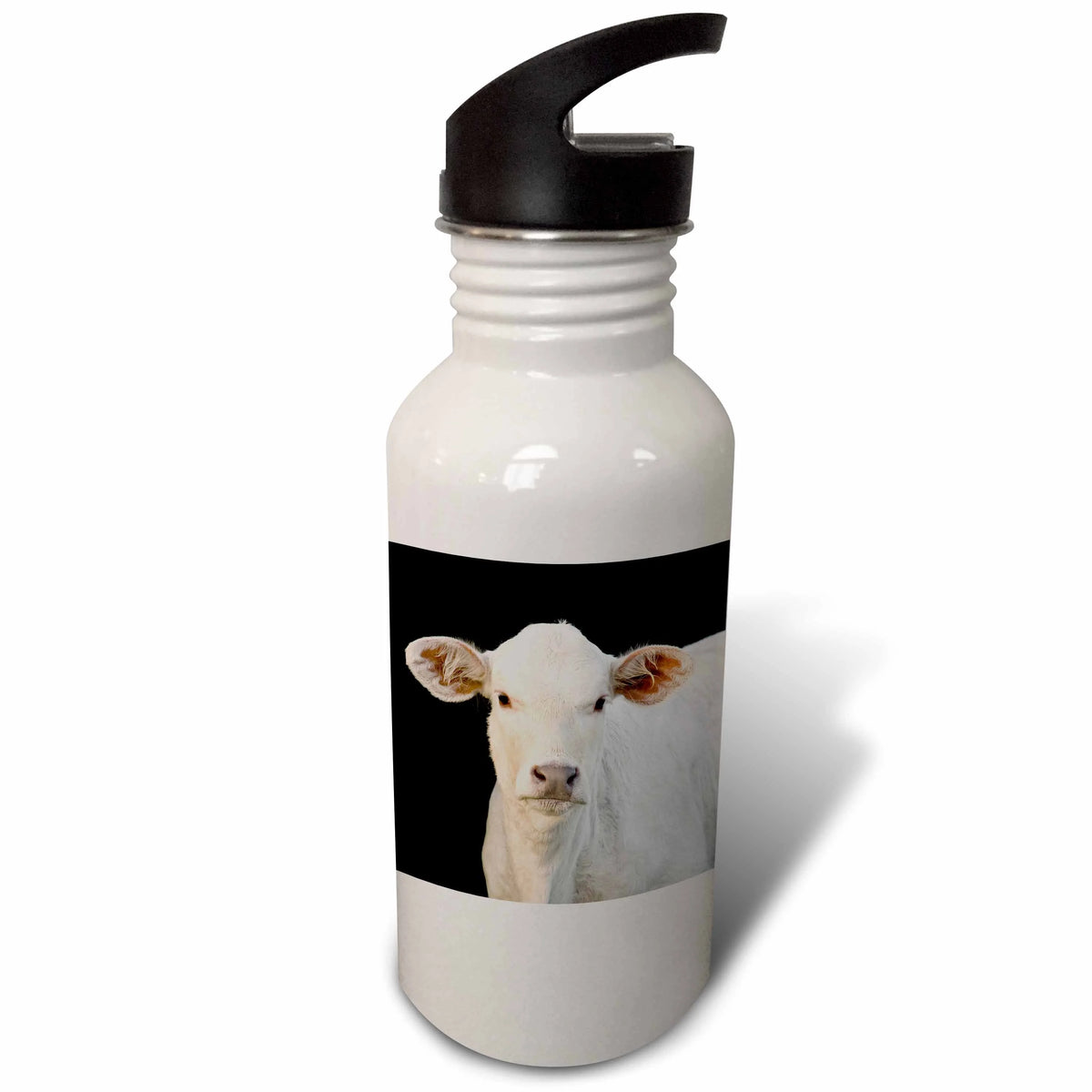 21 oz Sports Water Bottle Q70857