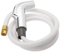 Chrome Spray and Hose Assembly S287