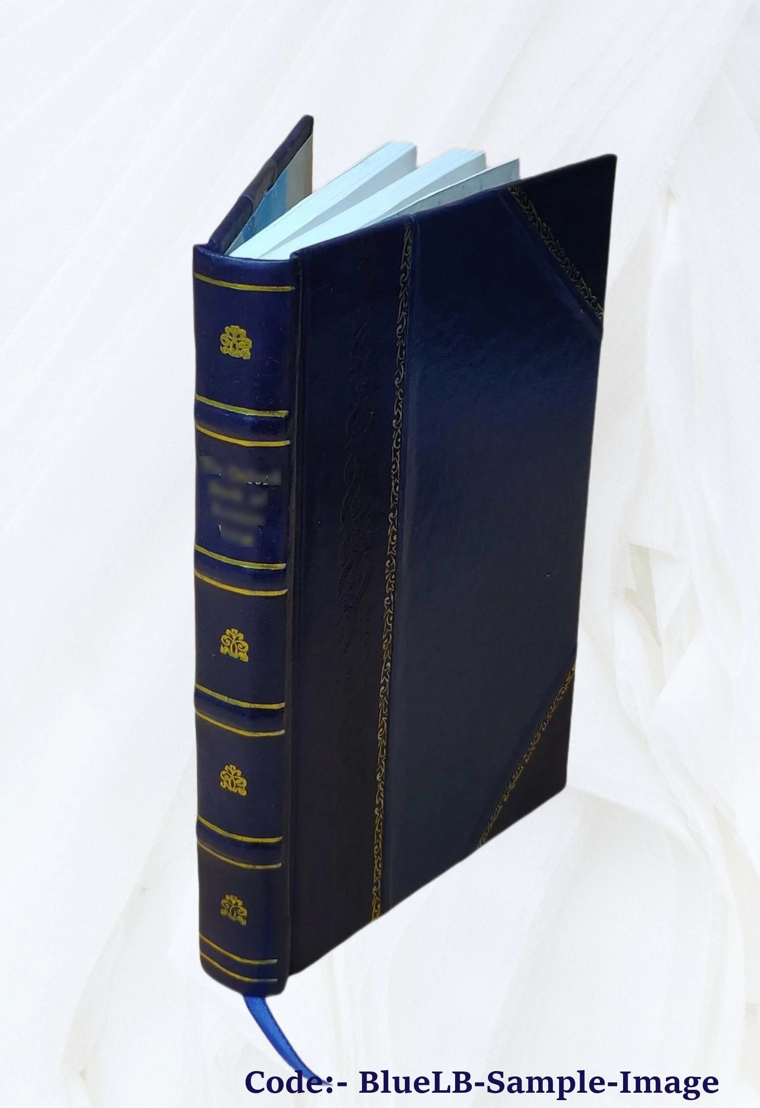 Leather Bound Book B62501
