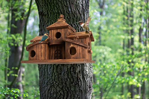 5 Hole Hanging Birdhouse O526