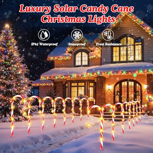 24-Pack Solar Christmas Candy Cane Lights, 144 LED J56083