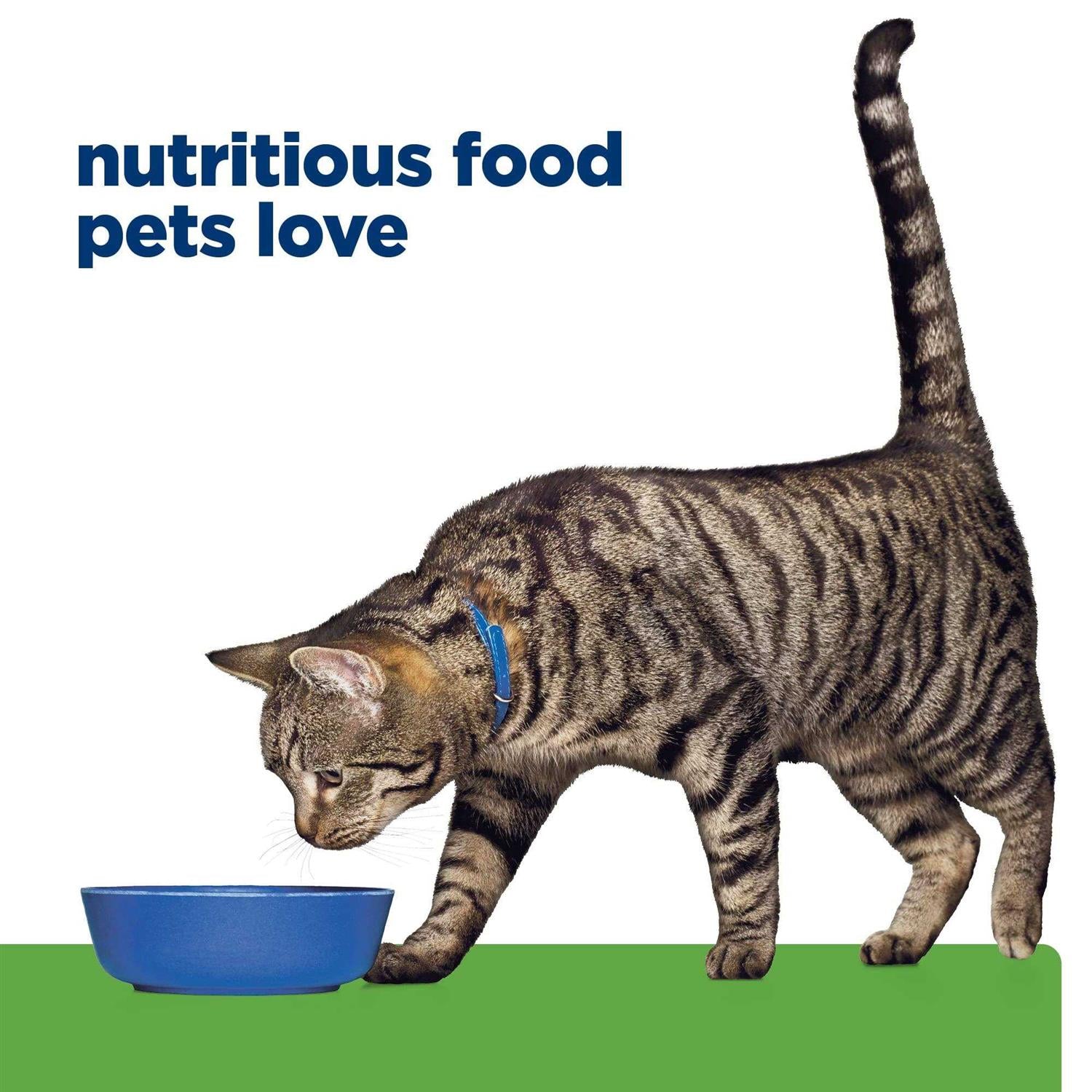 Metabolic Weight Management Chicken Flavor Wet Cat Food N804