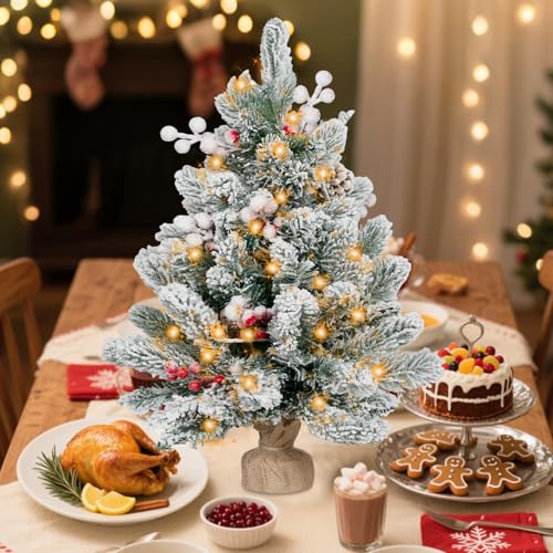 2FT Pre-lit Mini Christmas Snow Flocked Tree with LED Lights S498990