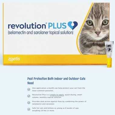 Topical Solution for Cats Q581972