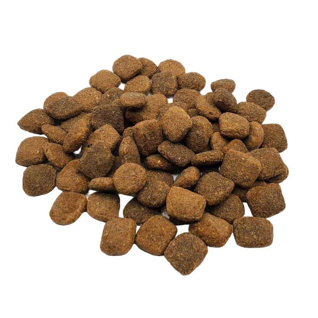 Chicken & Turkey Dry Dog Food S955