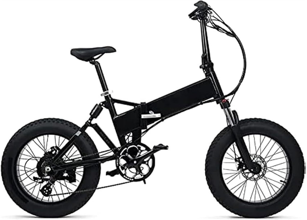 36V 10Ah Lithium ion Electric Bicycle Battery Pack X69126