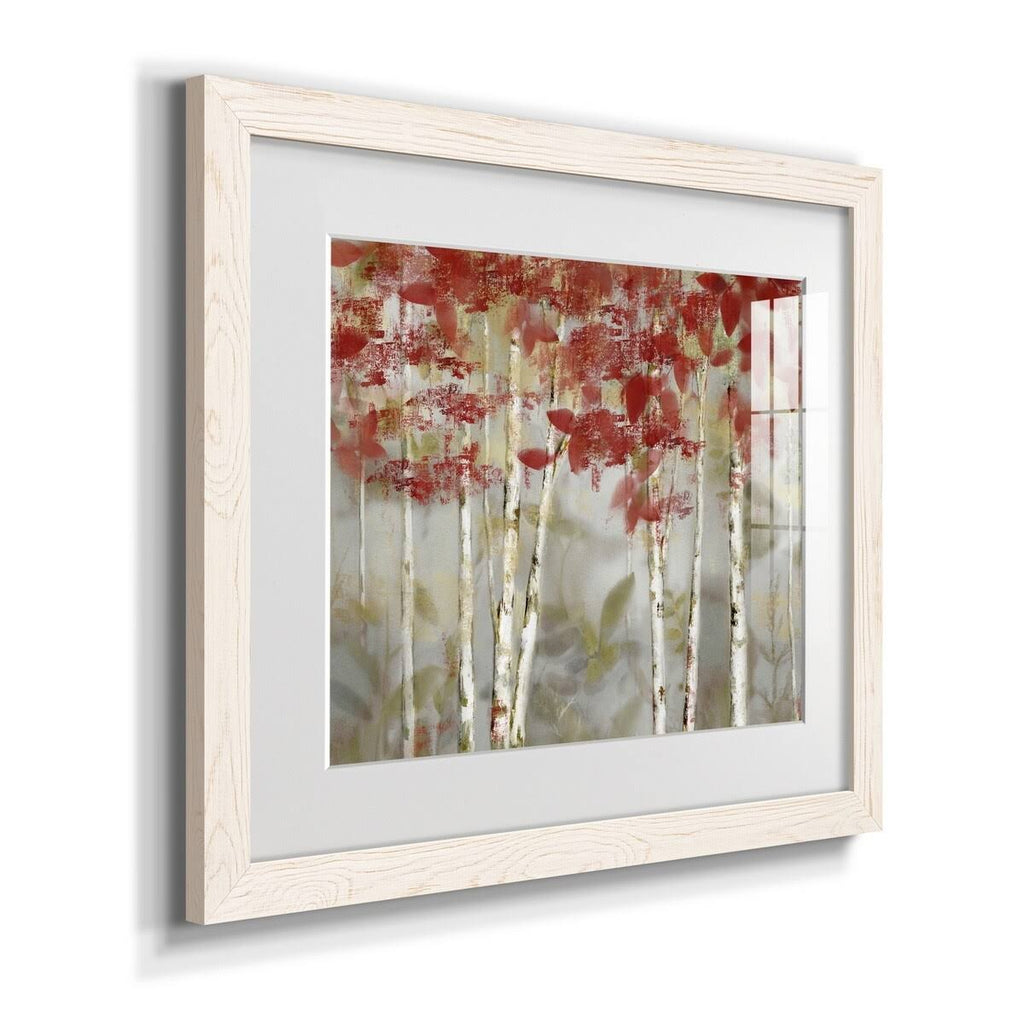 Grey Framed Print I56893