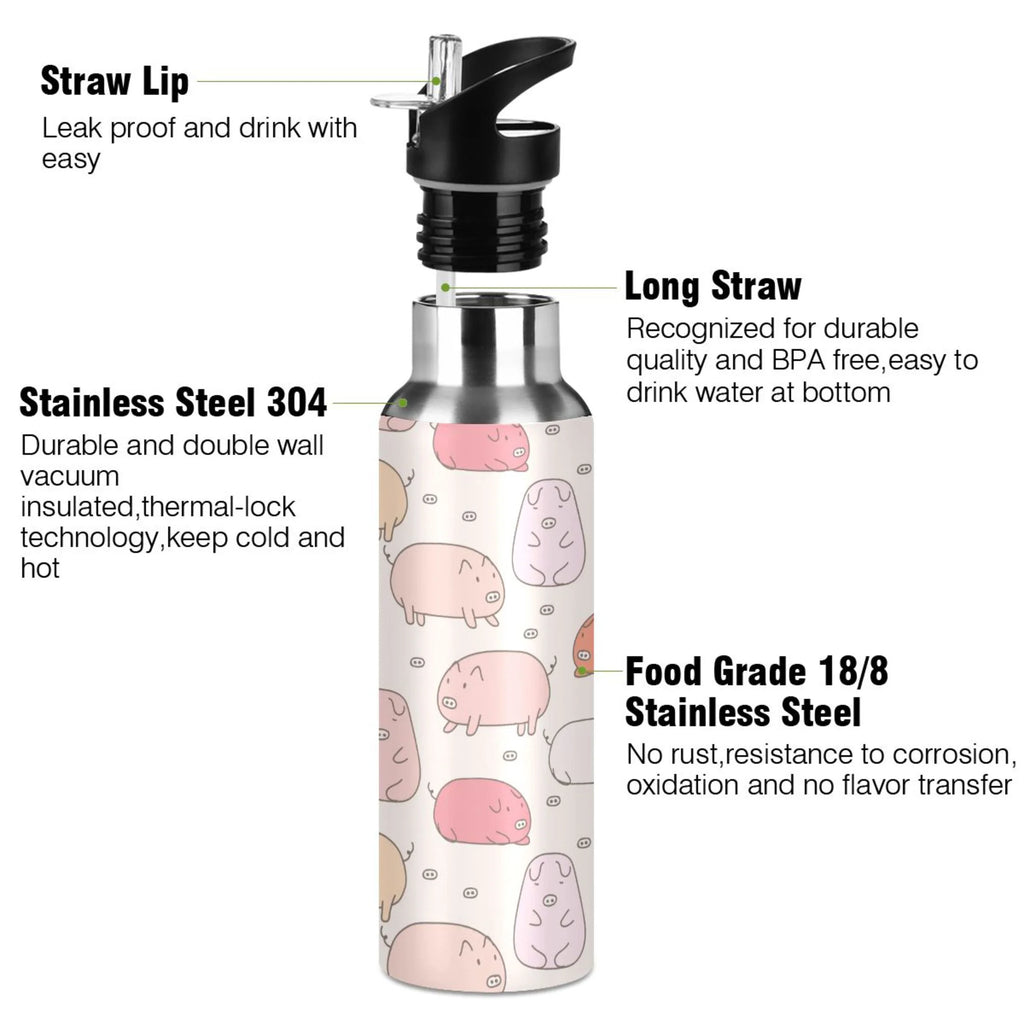 Stainless Steel Vacuum Insulated Water Bottle 20 OZ B70344