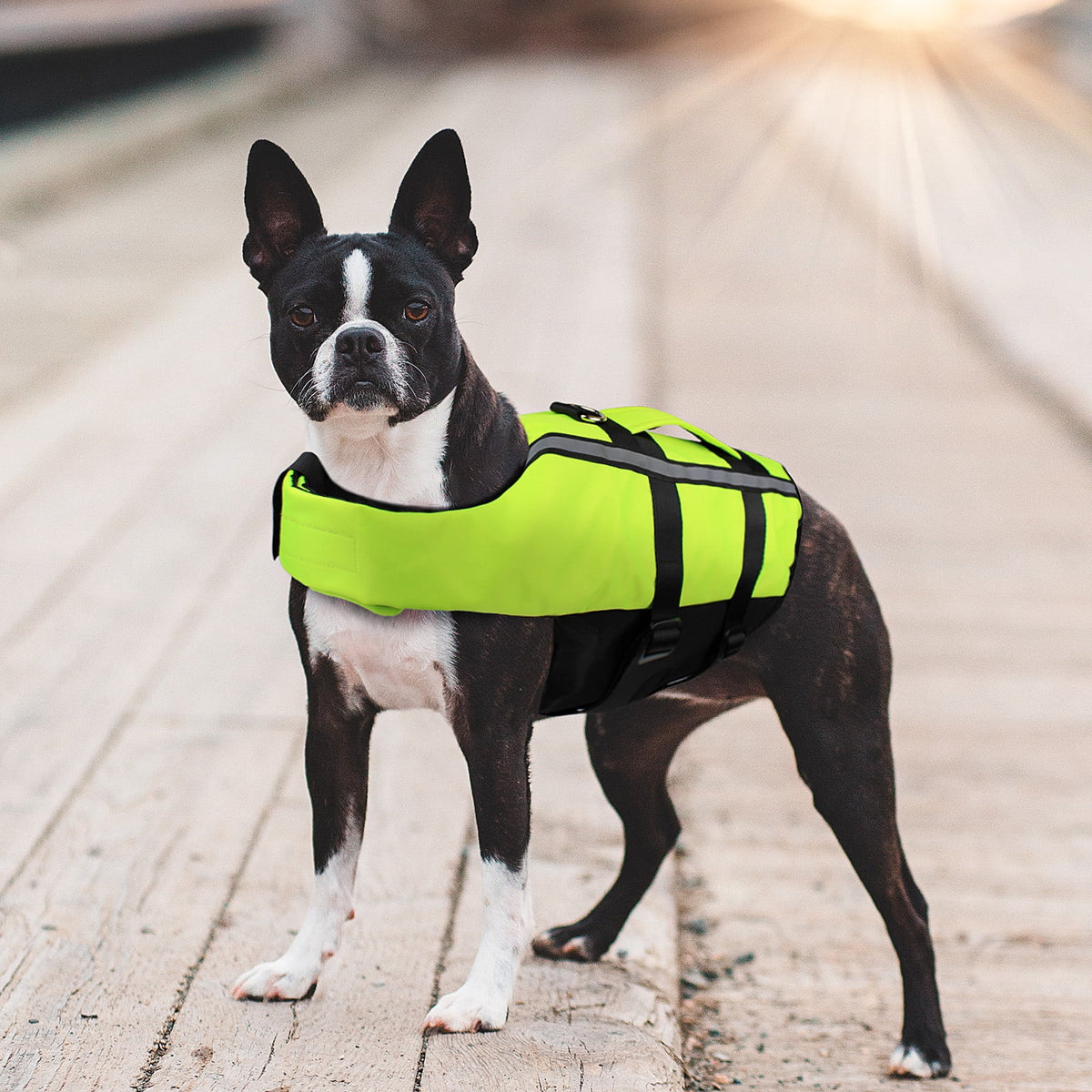 Fluor GREEN M Dog Life Jacket I8921