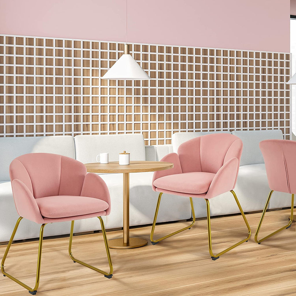 Pink Velvet Flower Shape Armchair with Golden Metal Legs, 2 Pieces G44161
